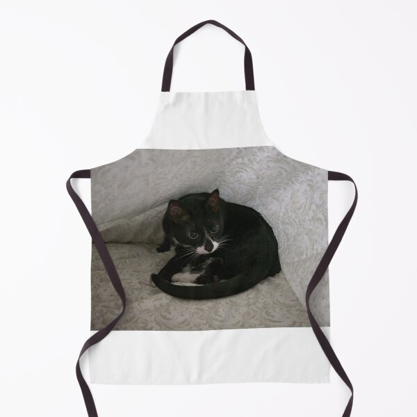 Item preview, Curled up tuxedo cat. designed and sold by imyournightmare.