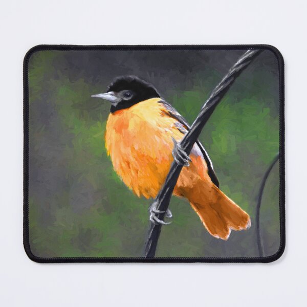 Item preview, Baltimore Oriole designed and sold by alpendesigns.