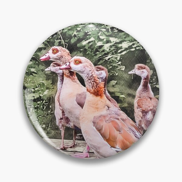 Item preview, Egyptian Geese designed and sold by jonfun1.