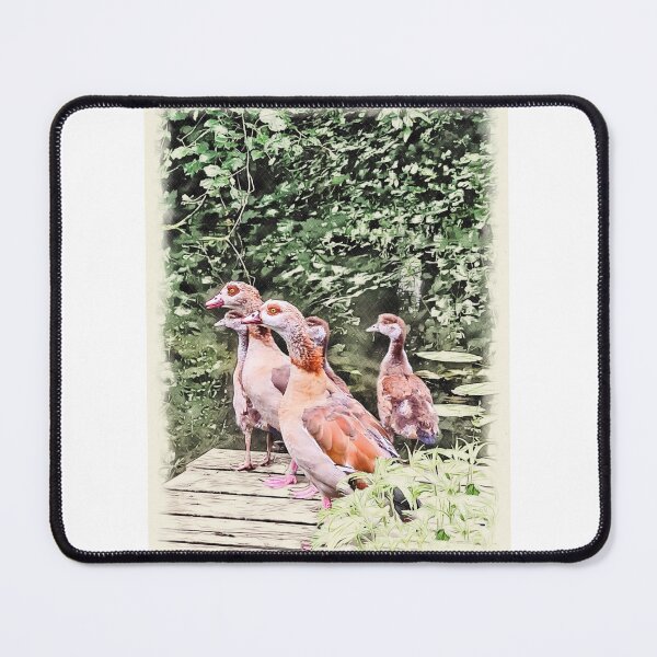 Item preview, Egyptian Geese designed and sold by jonfun1.