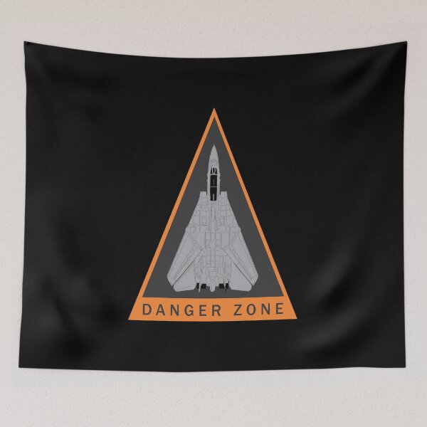 Item preview, F-14 Tomcat | Danger Zone designed and sold by AJ  Liber.