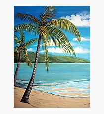 Palm Trees Photographic Print