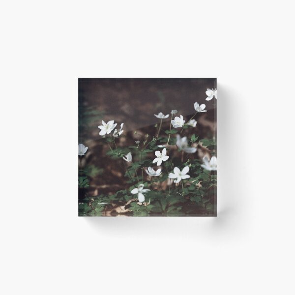 Item preview, Anemone Lomography Film designed and sold by ztrnorge.