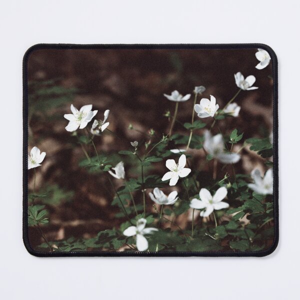 Item preview, Anemone Lomography Film designed and sold by ztrnorge.