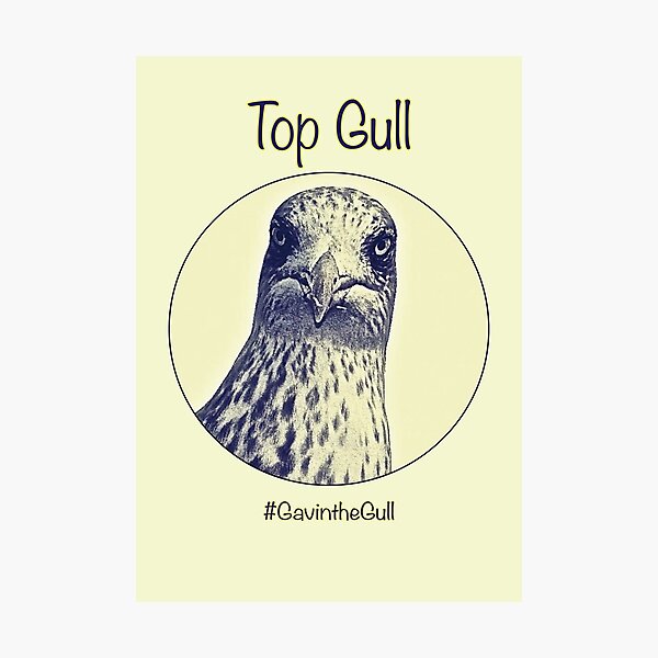 Item preview, Gavin the Gull - Top Gull designed and sold by MyriadLifePhoto.