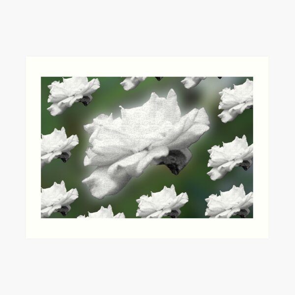 Flower Power Art Print