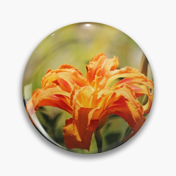 Item preview, Tangerine Daylily designed and sold by Cynthia48.