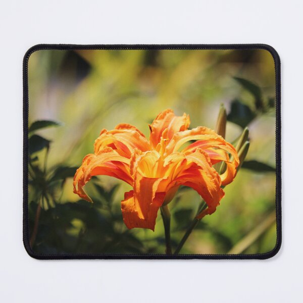 Item preview, Tangerine Daylily designed and sold by Cynthia48.