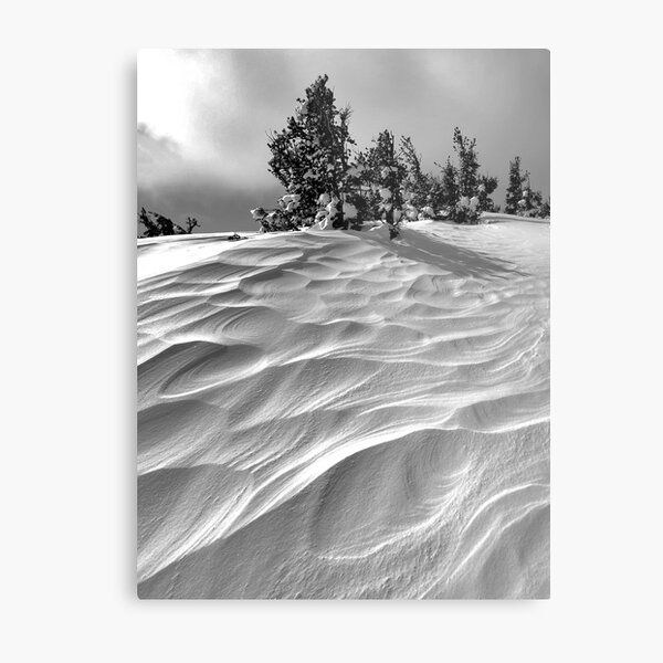 Winded Metal Print
