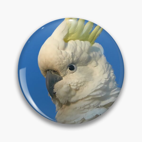 Item preview, Sulphur Crested Cockatoos designed and sold by Orianah.