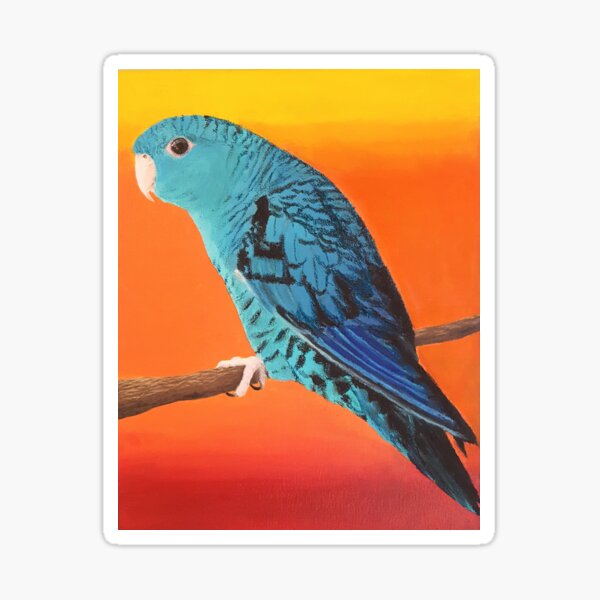 Turquoise Lineolated Parakeet Sticker