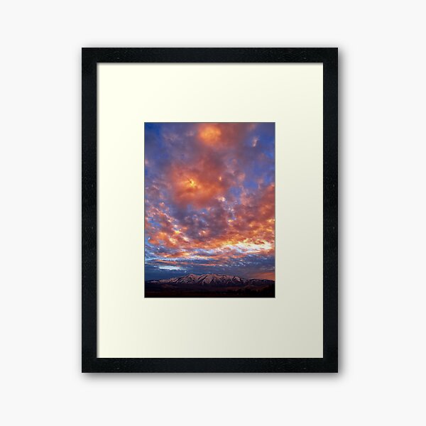 Peavine Blue Framed Art Print