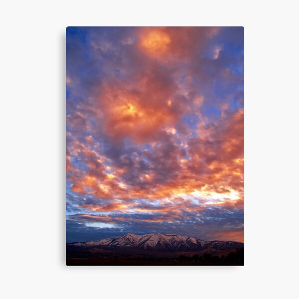 Peavine Blue Canvas Print