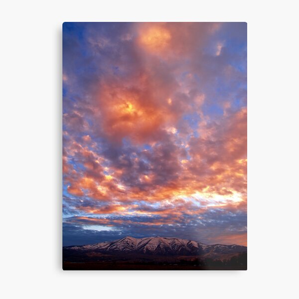 Peavine Blue Metal Print