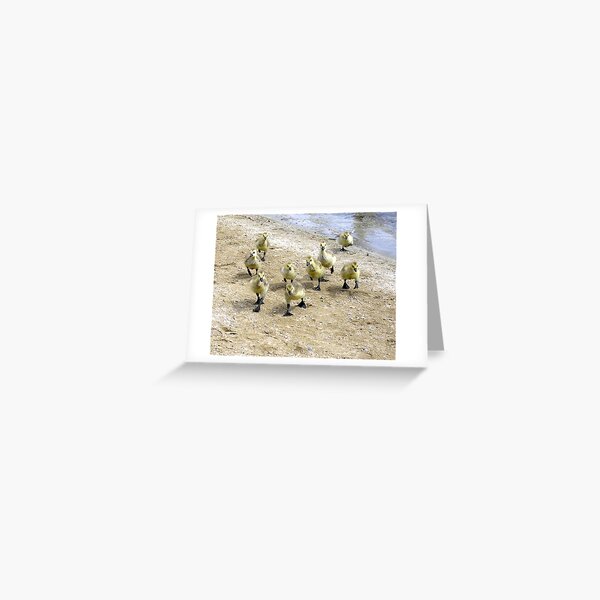 Storming the Beach Greeting Card