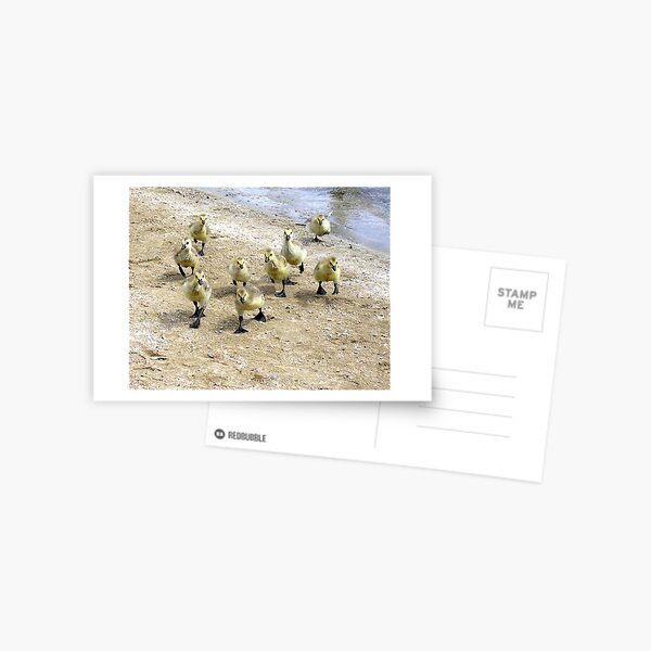Storming the Beach Postcard