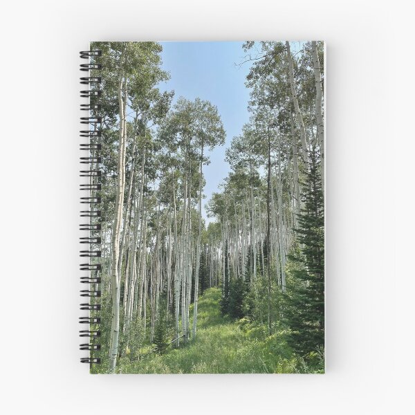 Item preview, Trees in forest designed and sold by abbymiller318.