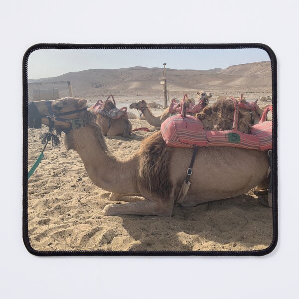 Item preview, camel in the desert designed and sold by abbymiller318.