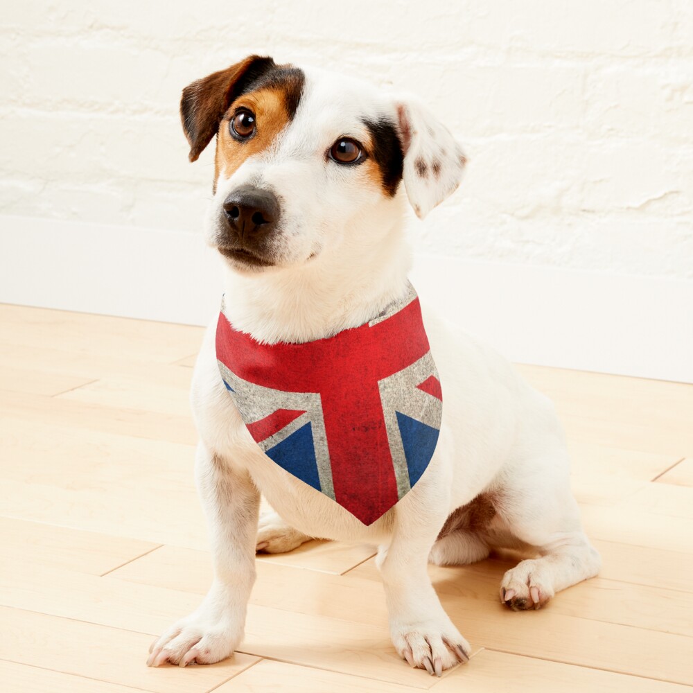 Union jack dog clearance coat