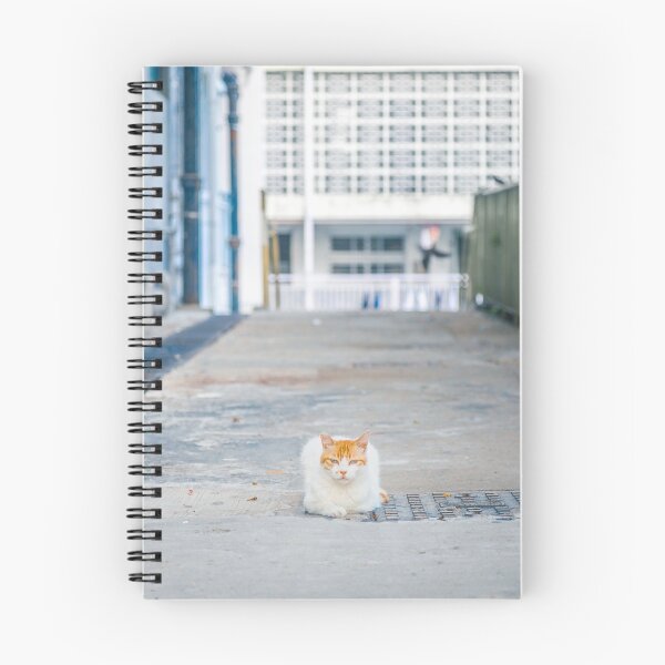 Item preview, Cat, middle of a path designed and sold by Gorma Kuma.