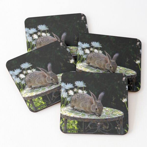 Item preview, Mr. Bunny Likes Bird Seed designed and sold by heatherfriedman.