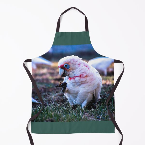Item preview, Corella feeding designed and sold by indiafrankk.