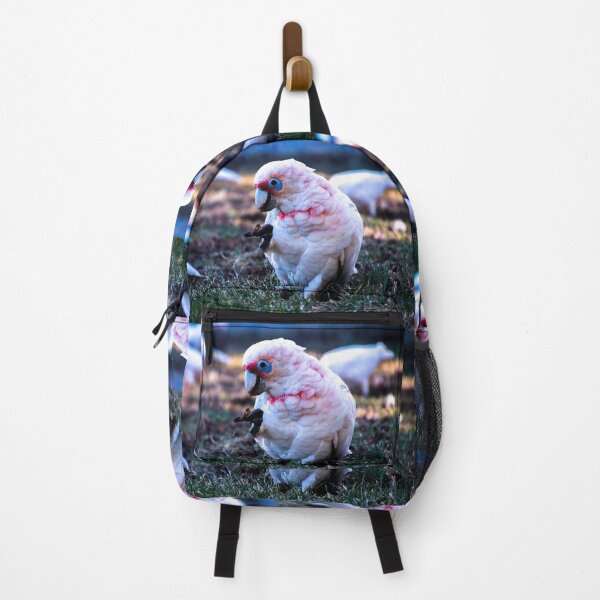 Item preview, Corella feeding designed and sold by indiafrankk.