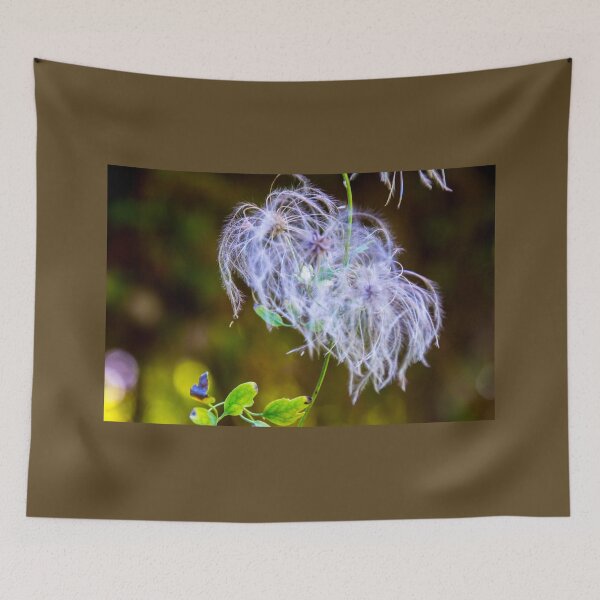 Item preview, Old man's beard designed and sold by indiafrankk.