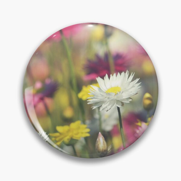 Item preview, Australian Flora - Everlasting Daisy Meadow designed and sold by Cloudlingpics.