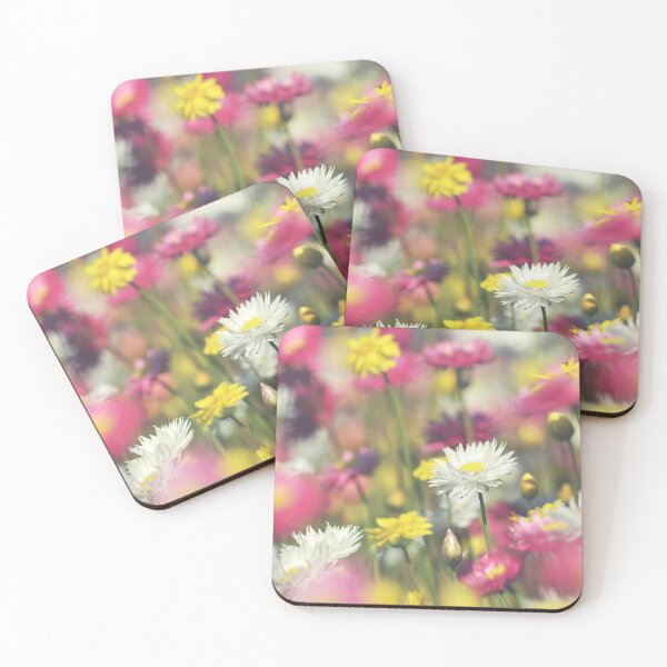 Item preview, Australian Flora - Everlasting Daisy Meadow designed and sold by Cloudlingpics.