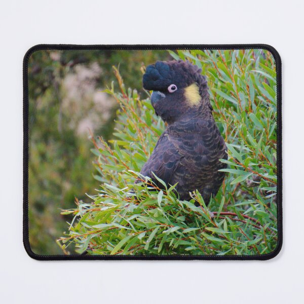 Item preview, PARROT ~ Yellow-tailed Black Cockatoo zAac2Wau by David Irwin 15012021 designed and sold by tasmanianartist.