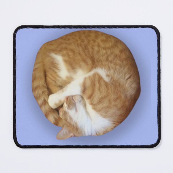 Item preview, Curled Up Cute Small designed and sold by PaigeNColwell.