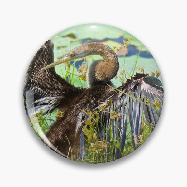 Item preview, NT ~ MARINE BIRD ~ Australasian Darter YU6QPCY4 by David Irwin 15012021 designed and sold by tasmanianartist.