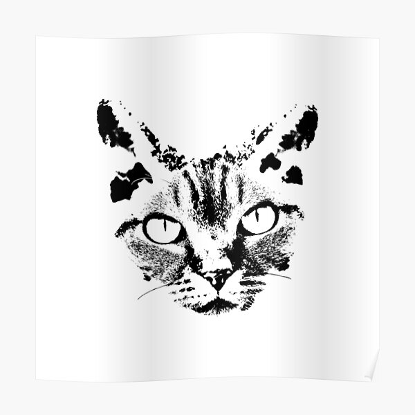 Posters Sur Le Theme Chat Blanc Sur Fond Noir Redbubble