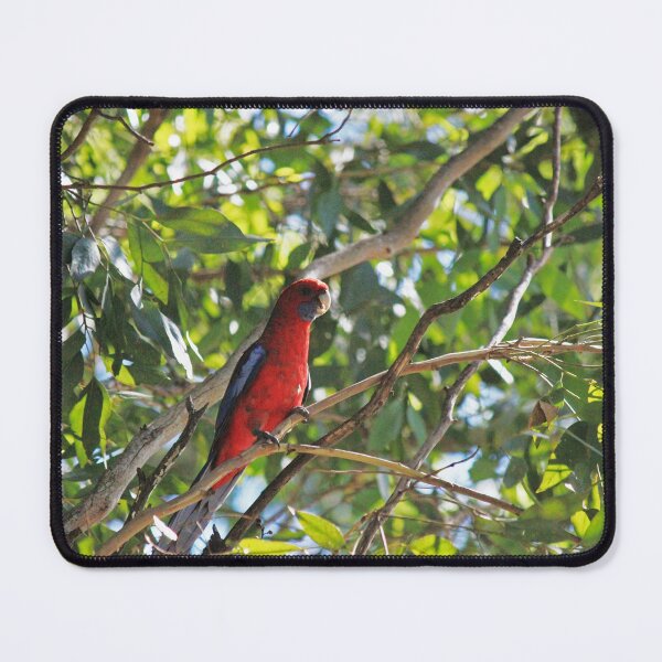 Item preview, Crimson Rosella designed and sold by KazM.