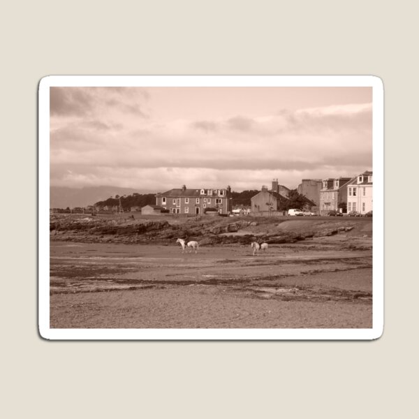 Shoreline with Horses, Millport in Scotland. West coast, off Isle of Cumbrae Magnet