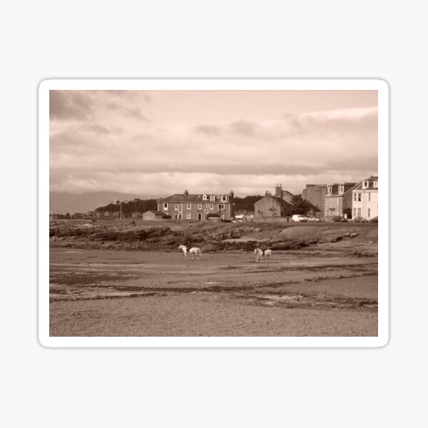 Shoreline with Horses, Millport in Scotland. West coast, off Isle of Cumbrae Sticker