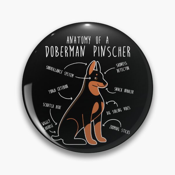 Item preview, Doberman Anatomy designed and sold by Clara Hollins.