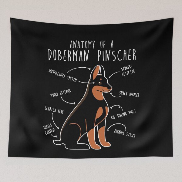Item preview, Doberman Anatomy designed and sold by Clara Hollins.