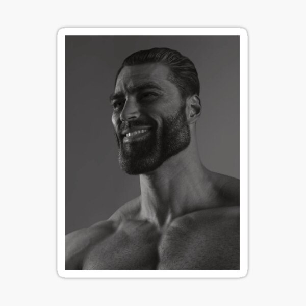 The Almighty Chad meme  Sticker for Sale by LucyOtama