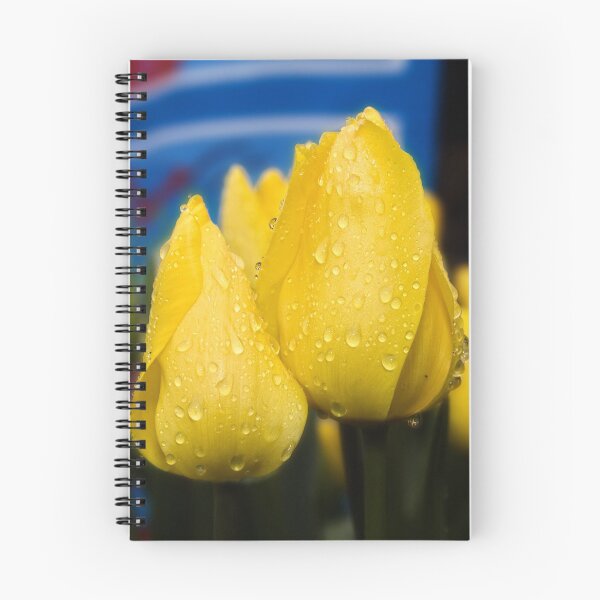 Item preview, Tulips (7) designed and sold by Wolf Sverak Photography.