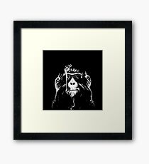 arctic monkeys Framed Print