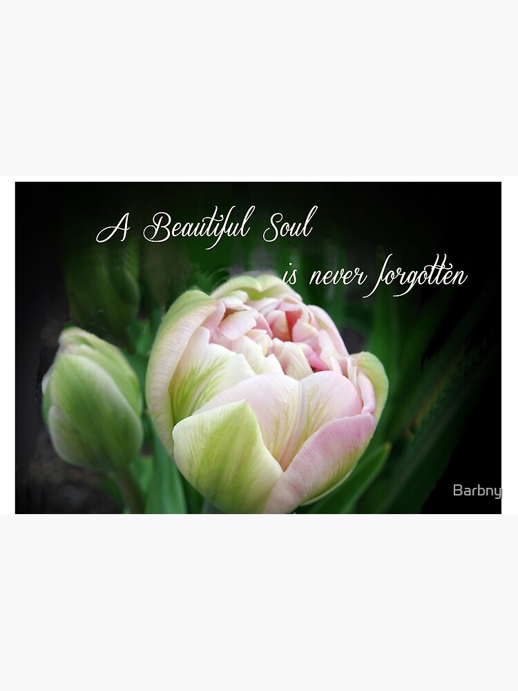 a beautiful soul is never forgotten quotes