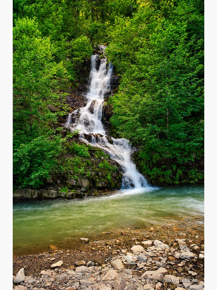 waterfall comes out of a hillside in forest by mike-pellinni