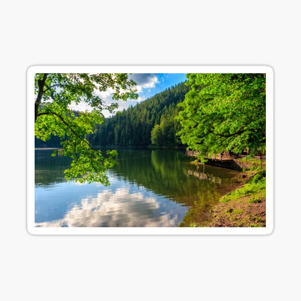 pier on mountain lake in forest Sticker