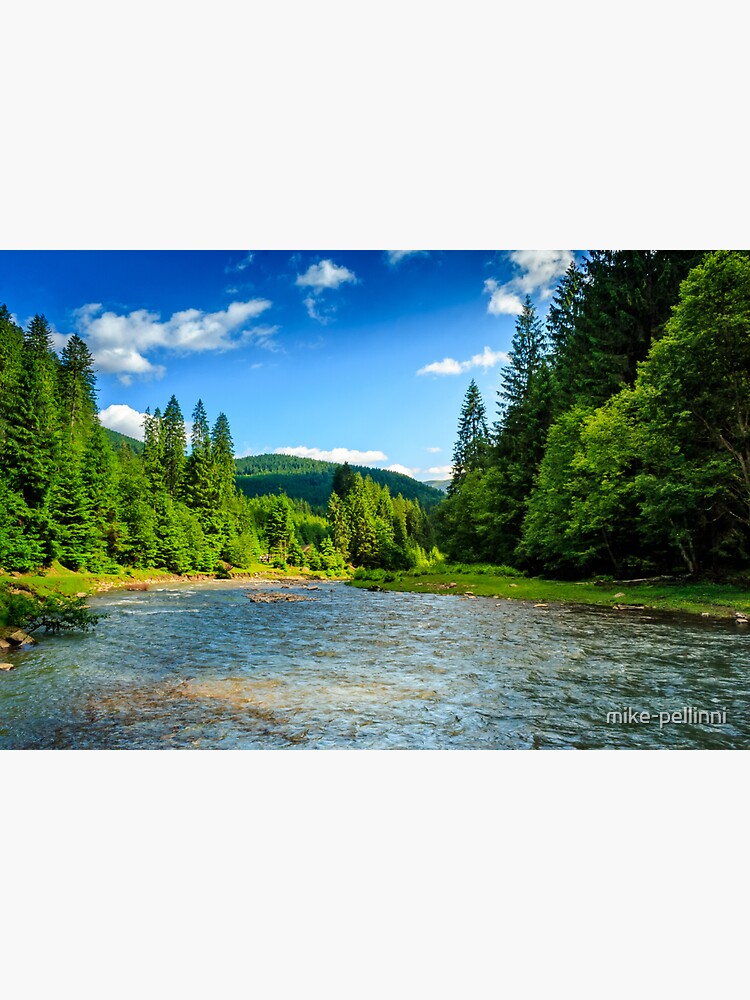 Mountain river among spruce forest by mike-pellinni
