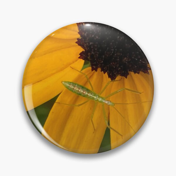 Item preview, Black-Eyed Susan by Mark Ewing designed and sold by LifeSpice.
