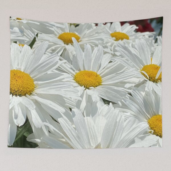 Item preview, Daisies by Mark Ewing designed and sold by LifeSpice.