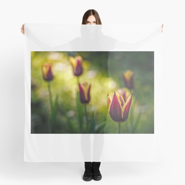tulip with stripe on shady glade Scarf