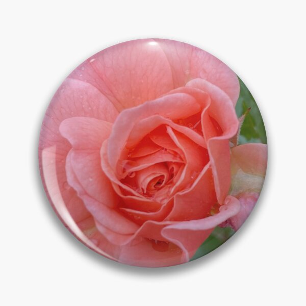Item preview, Beautiful Rose Photo by Mark Ewing designed and sold by LifeSpice.